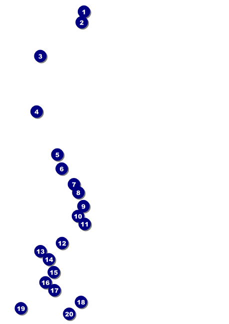 Tie Dye Club Flyer Front Field Markers