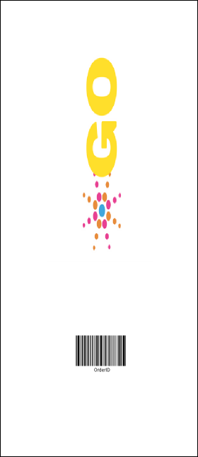 Ice Skating VIP Pass Product Back