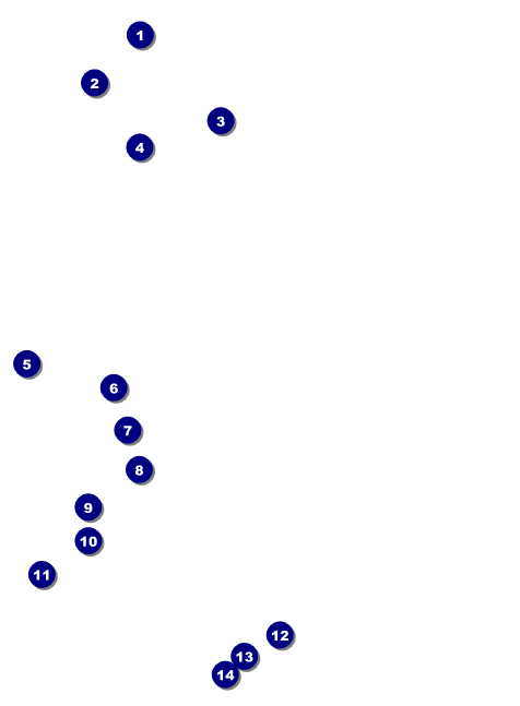 Blue Flower Invitation Front Field Markers