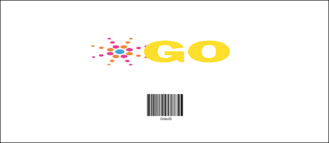 Fun Run VIP Pass Product Back