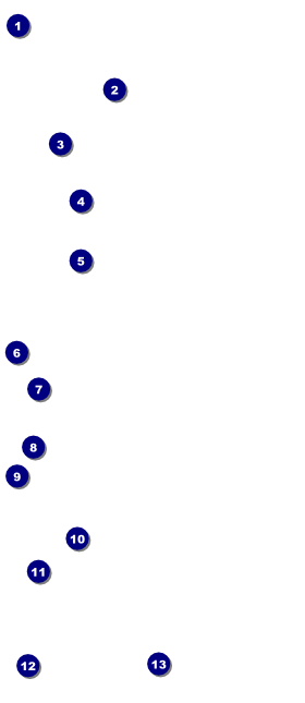 All Purpose Blue VIP Pass Front Field Markers