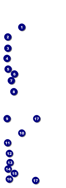 All Purpose Lights Event Ticket Front Field Markers