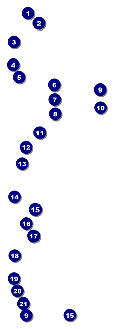 Dodgeball Event Ticket Front Field Markers