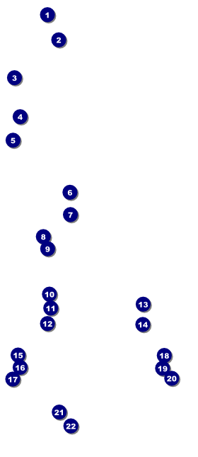 Dodgeball VIP Pass Front Field Markers