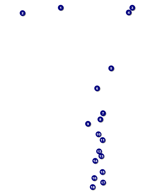 Mexican Hat Flyer Front Field Markers