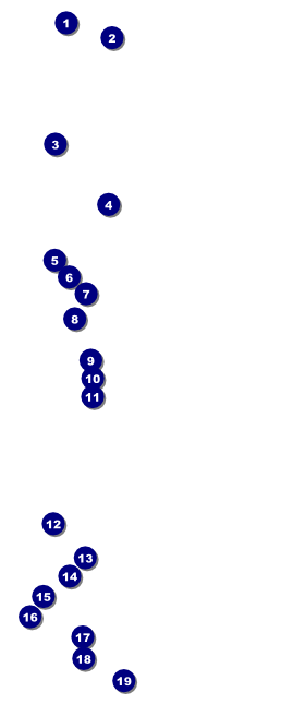 Poetry VIP Pass Front Field Markers