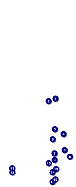 Mexican Fiesta Table Tent Front Field Markers