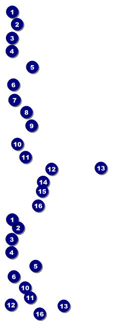 Animal Print Reserved Event Ticket Front Field Markers