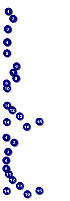 Basketball Court Reserved Event Ticket Front Field Markers