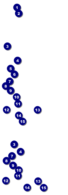 Farmer's Market Reserved Event Ticket Front Field Markers