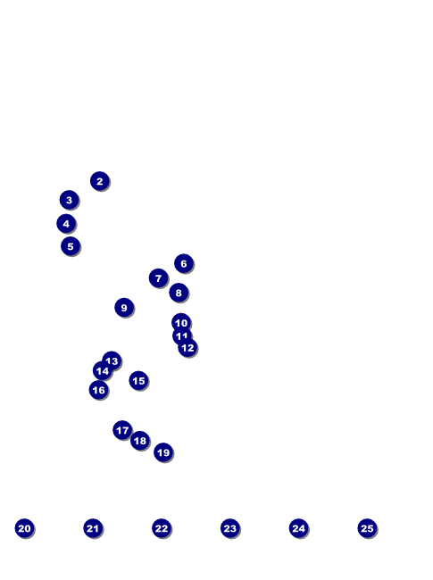 Califorina Flyer (Pink and Yellow) Front Field Markers