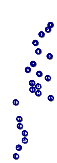 Chinese New Year Monkey Raffle Ticket Front Field Markers