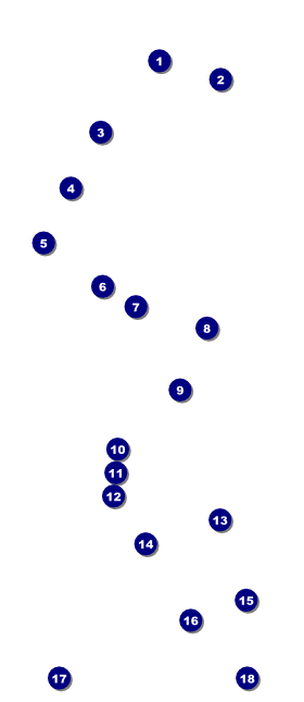 All Purpose  Corners Black and White VIP Pass Front Field Markers