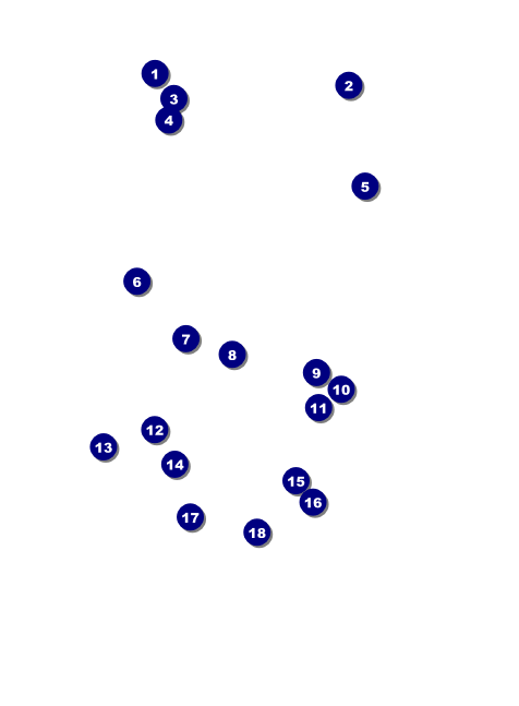 Spring Festival Invitation Front Field Markers