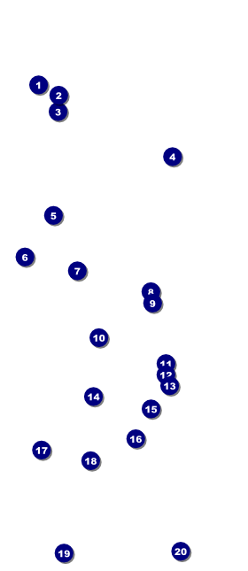 Spring Festival 3 VIP Pass Front Field Markers
