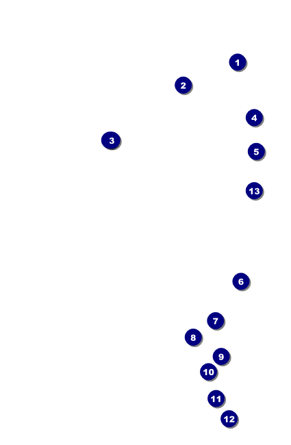 Reunion 2 Drink Ticket Front Field Markers