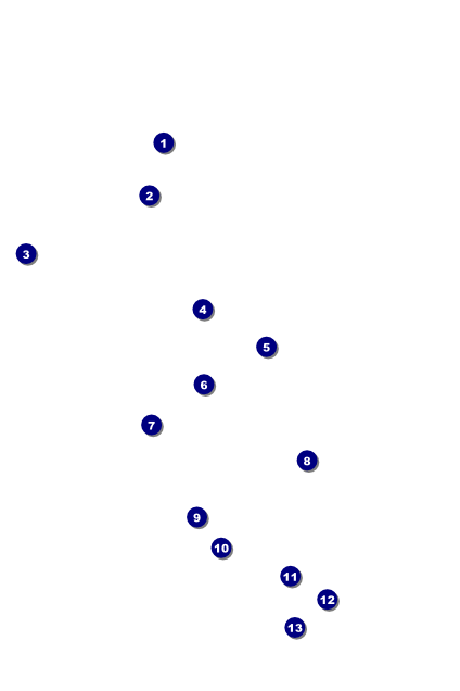 Playful Christmas Poster Front Field Markers