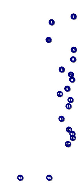 Sounds of Notes VIP Pass Front Field Markers