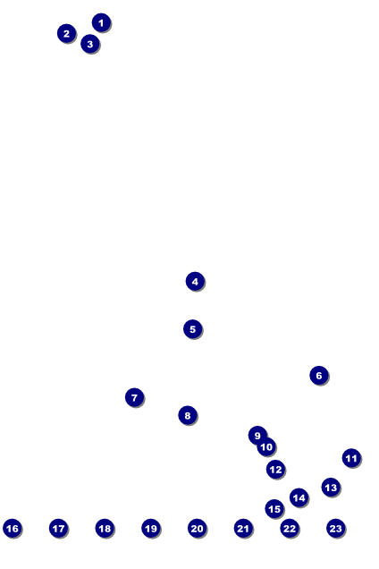 Chinese New Year Pig Image Poster Front Field Markers