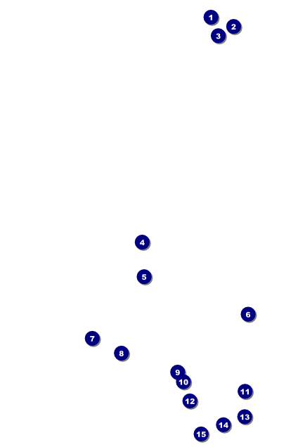 Chinese New Year Dog Poster Front Field Markers