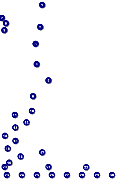 Modern Rodeo Blue Poster Front Field Markers