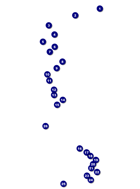 Martin Luther King Flyer Front Field Markers
