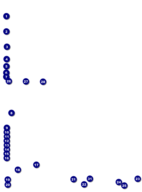 Homeless & Hungry Flyer Front Field Markers