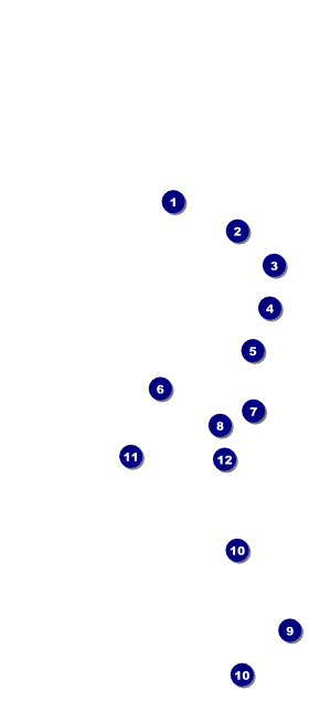 Holiday Snowflake Hang Tag Front Field Markers