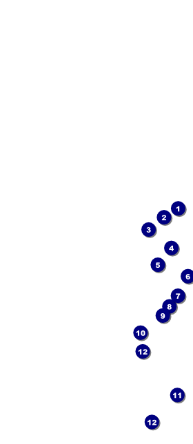 Nutcracker Hang Tag Front Field Markers