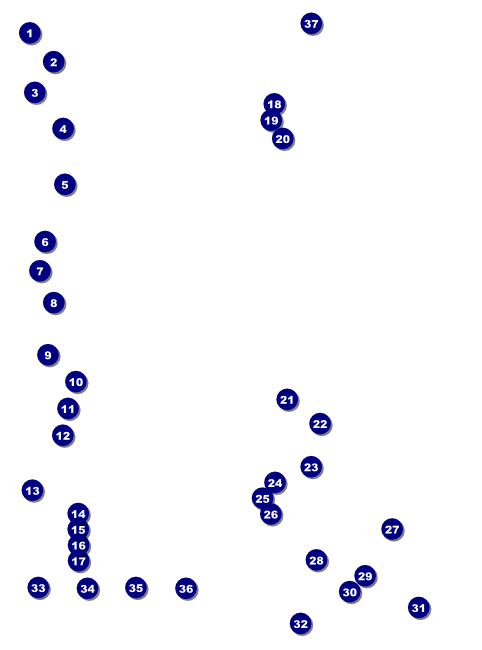 Blue & Green Charity Race Flyer Front Field Markers