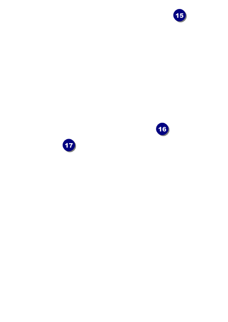 Boxing Postcard Mailer Back Field Markers