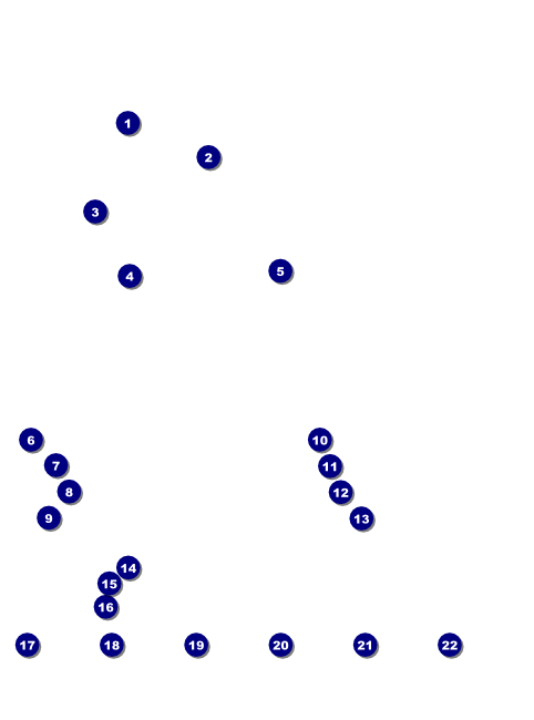 Paris Pink and Black Logo Flyer Front Field Markers