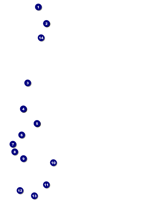 Carnival Event Flyer Front Field Markers