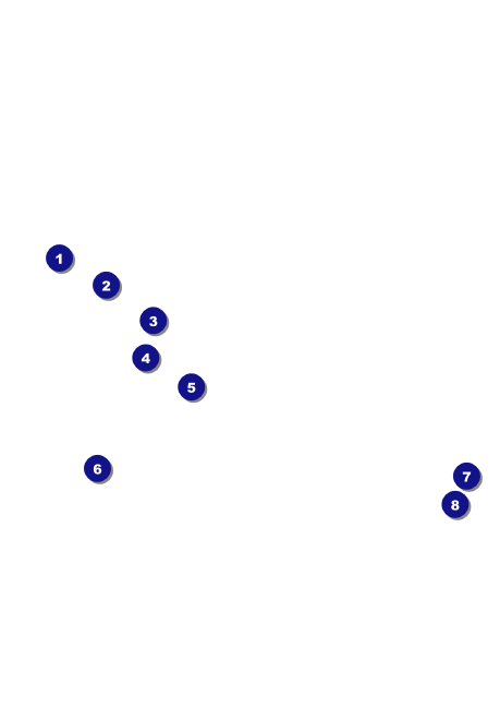 Graduation Postcard Mailer Front Field Markers