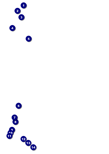 Santa Barbara Postcard Mailer Front Field Markers