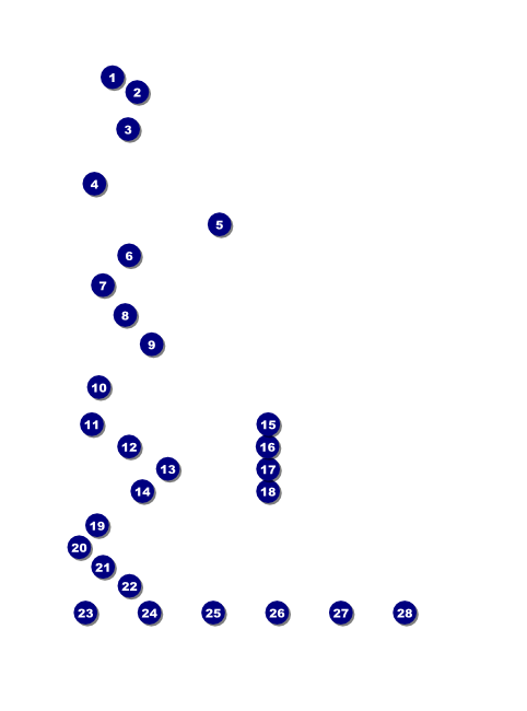 Galaxy Hip Hop Black and White Flyer Front Field Markers