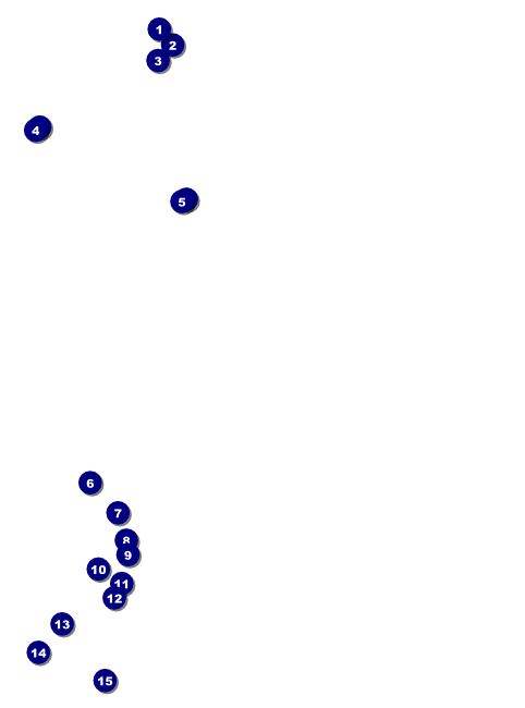 Chinese New Year Celebration Flyer Front Field Markers