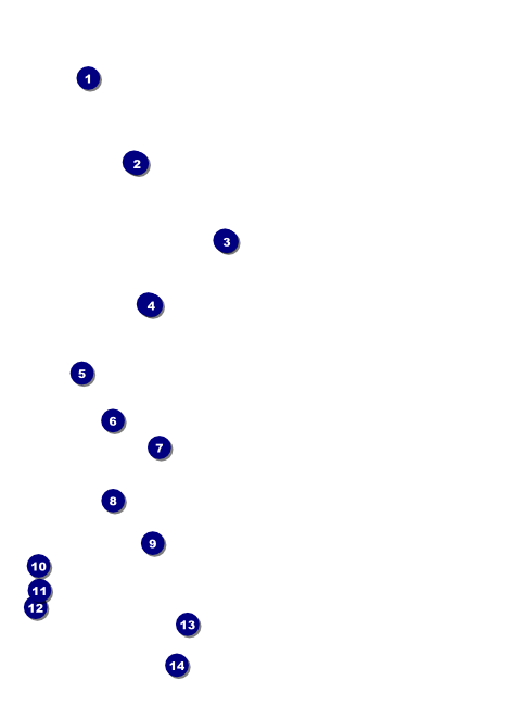 Stag and Doe Pattern Flyer Front Field Markers