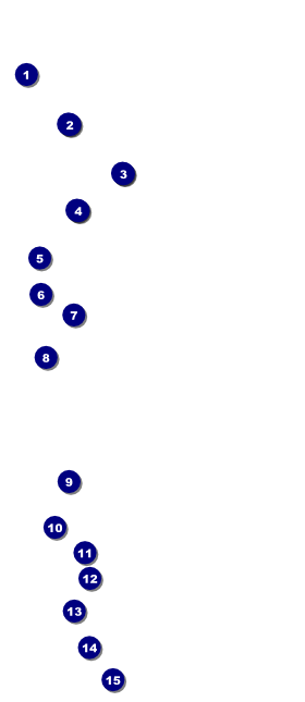 Stag and Doe Pattern VIP Pass Front Field Markers
