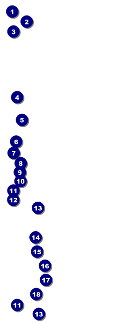 Softball Challenge Raffle Ticket Front Field Markers