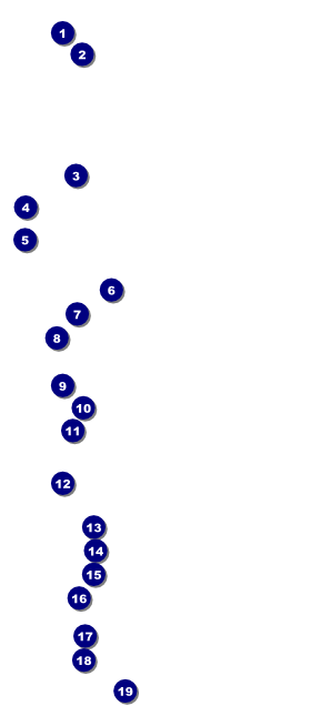Christmas Angel  VIP Pass Front Field Markers