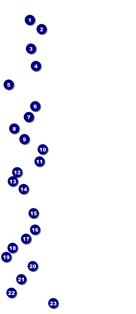 Haunted House VIP Pass Front Field Markers