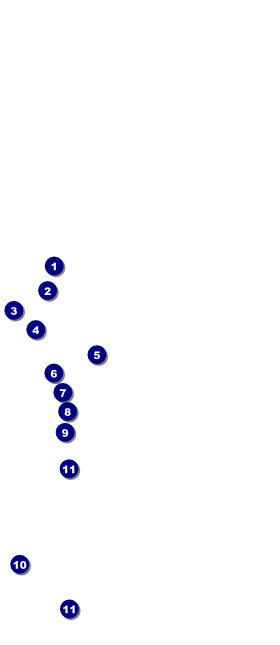 St. Patrick's Day Hang Tag Front Field Markers