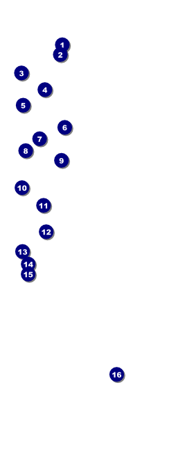 St. Patrick's Day  VIP Event Badge Large Front Field Markers