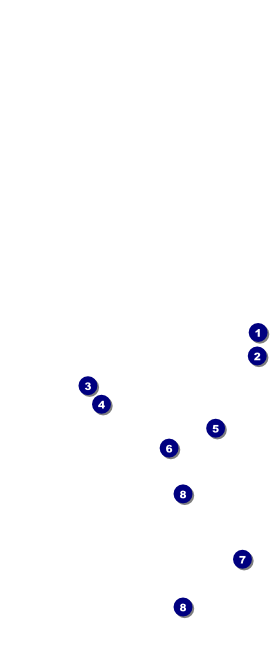 Boston Hang Tag Front Field Markers