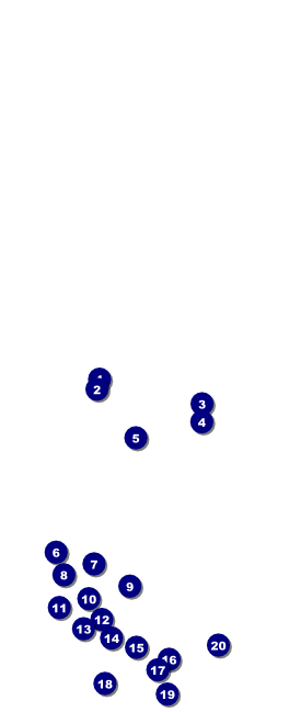 Boston Table Tent Front Field Markers