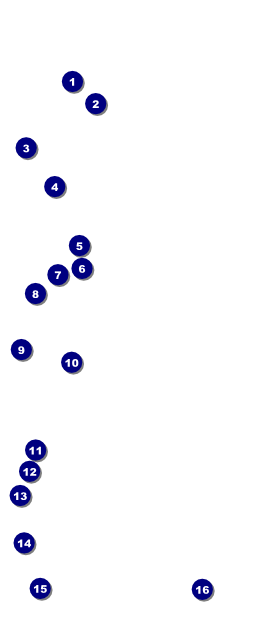 Military Ball - US Flags VIP Pass Front Field Markers
