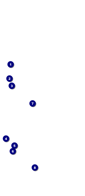 All Purpose Colorful Skyline VIP Event Badge Large Front Field Markers