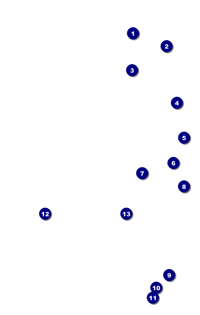 All Purpose Geometric VIP Event Badge Medium Front Field Markers