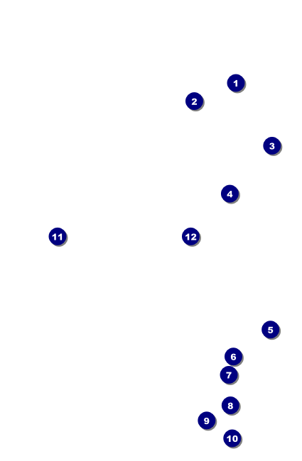 All Purpose Horizon VIP Event Badge Small Front Field Markers